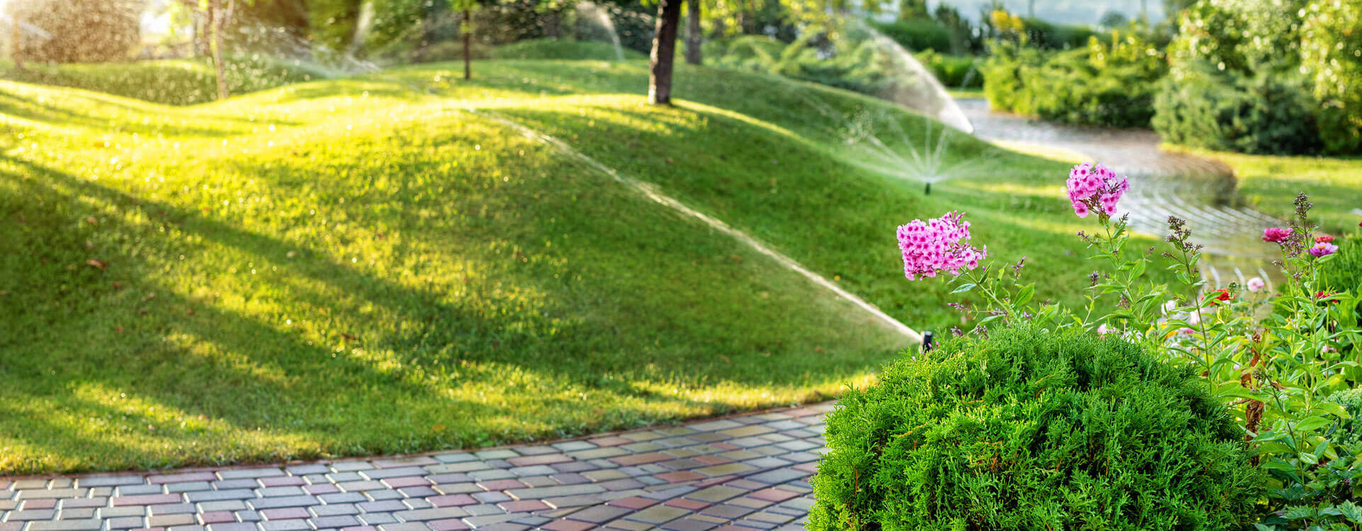 Lawn Services
